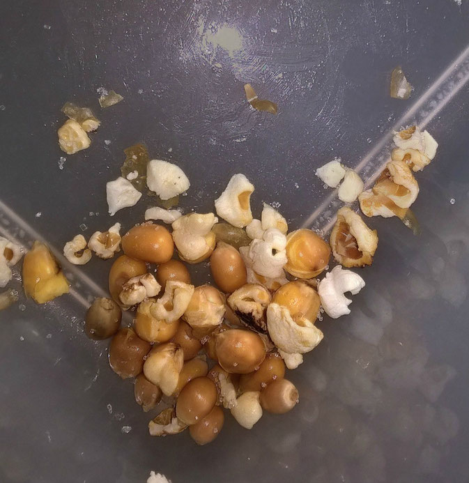 Klarstein Popcornmaschine im Test