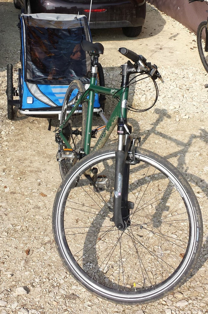 Qeridoo Fahrrad Anhänger Sportrex2 mit 2 Kindern im Test