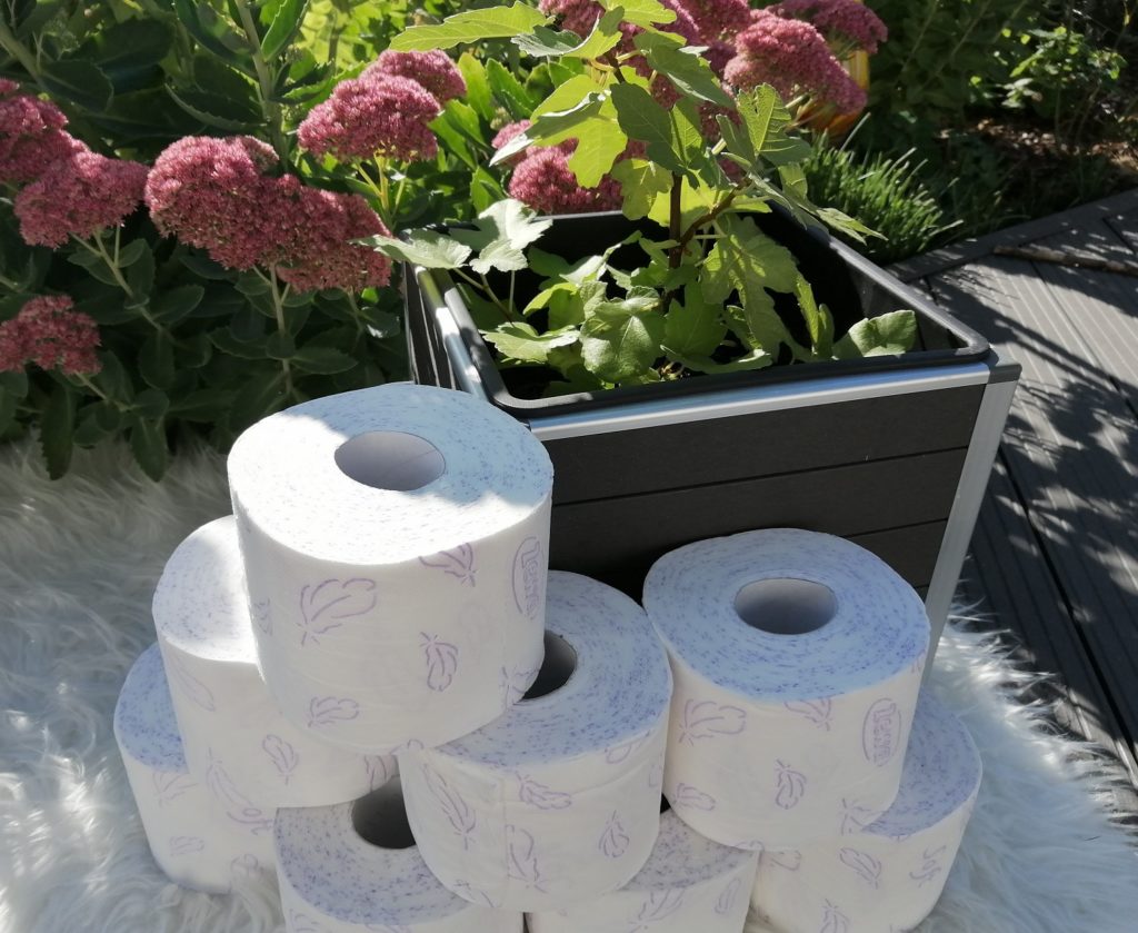 Zewa Zauberhafte Feige Toilettenpapier Erfahrung